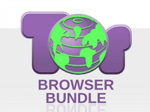 Tor браузер в Ubuntu: как настроить анонимный серфинг в сети