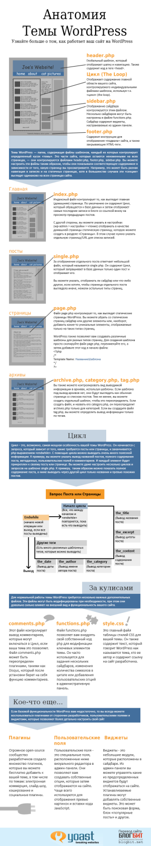 Анатомия темы WordPress - инфографика